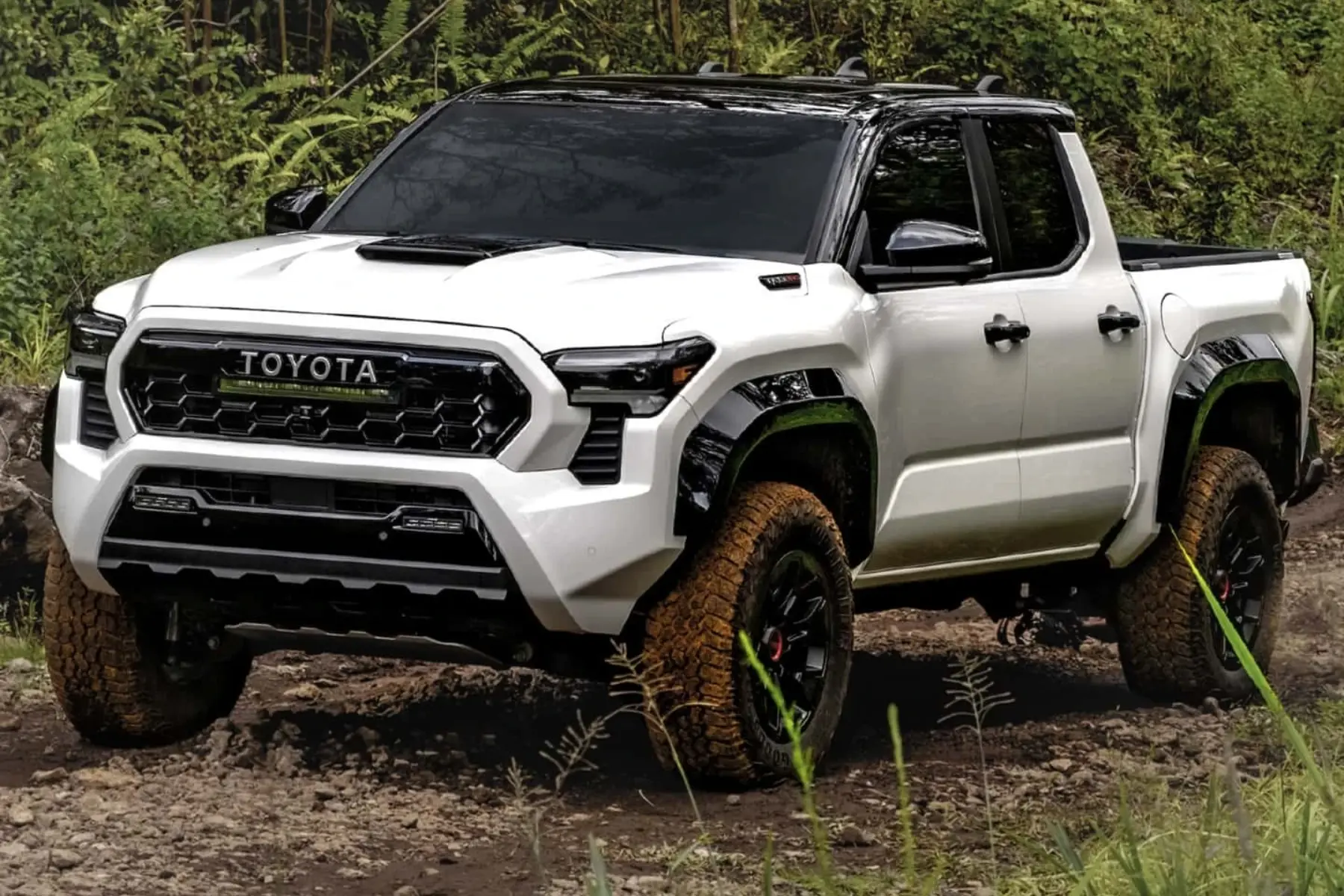 tacoma truck